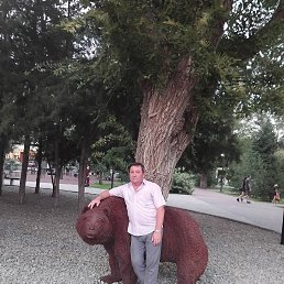 �����, 59 ���, �������