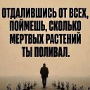 ���� �����, ���� - ��������� 8 �������� 2026 � ������ ������ ��������