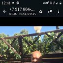 ���� ������, ���, 56 ��� - ��������� 2 ������ 2026 � ������ ���� ����������