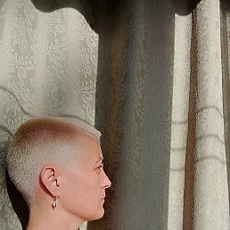 �����, ����, 50 ���