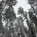 ���� ���������, ���, 62 ���� - ��������� 21 ������� 2025 � ������ ���� ����������