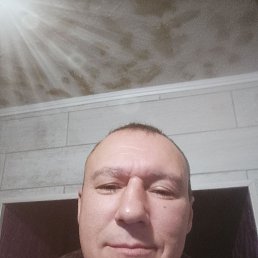 ������, 49 ���, �������