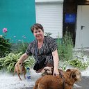 ���� ��������, ���������, 50 ��� - ��������� 19 ���� 2025 � ������ ���� ����������