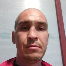 �������, ���������� �����, 46 ���