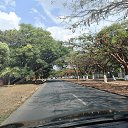 ���� Alex, �����-��������� - ��������� 5 ������� 2025 � ������ �������