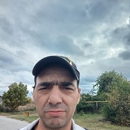 �����, 46 ���, ������ �����