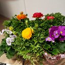 ���� ����, �����, 78 ��� - ��������� 11 ������ 2025 � ������ ��������� � �������� ������� 2024�