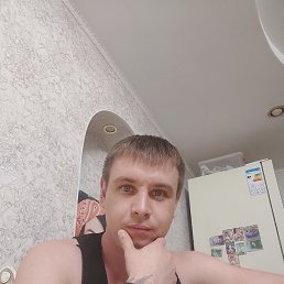 �����, 29 ���, ���������