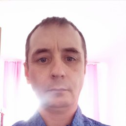 , 42, 