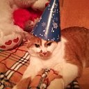 ���� ��������, ��������, 62 ���� - ��������� 27 ������� 2026 � ������ ���� ����������