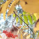���� �ναστασα, ��������� - ��������� 7 ������� 2024 � ������ ���� ����������