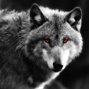 ���� ��������, ������, 64 ���� - ��������� 8 ������� 2024 � ������ ���� ����������