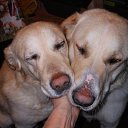 ���� �������, �����-��������, 59 ��� - ��������� 11 ������� 2023