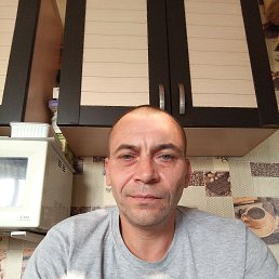 , 44, 