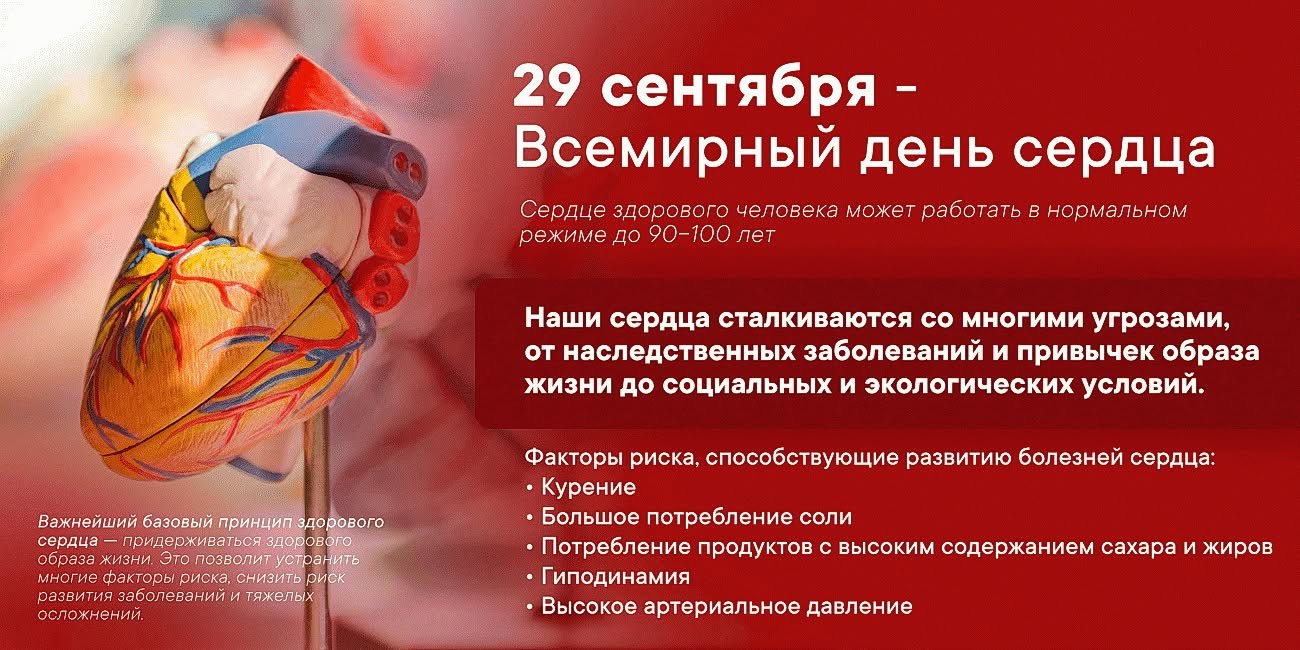 ������� � 29 �������� - �������� ���������� ���� �� ��������� ���� ������! ����� ���� �������� ... - 2
