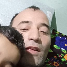 ������, �����-���������, 46 ���