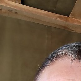 �������, �����-���������, 55 ���