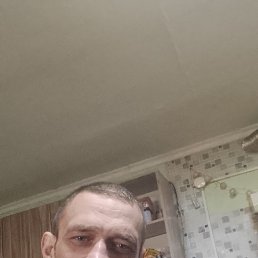 �����, 38 ���, ���������