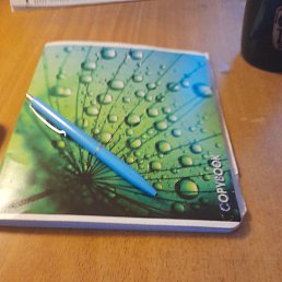 �����, �������-���������, 48 ���