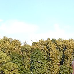 ������, �����������, 56 ���