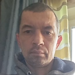 ������, �����, 44 ����