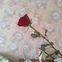 ���� �������!, ������ - ��������� 6 ������ 2023 � ������ ���� ����������