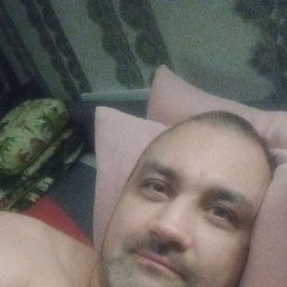 ������, ��������, 41 ���