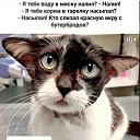 ���� ������, �������� - ��������� 12 �������� 2026 � ������ ������ ��������