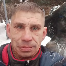 ���������, ���������, 40 ���