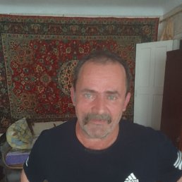 , 56 , 