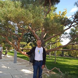 �������, ������, 49 ���