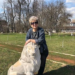 �������, ������, 66 ���