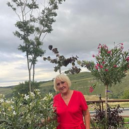 �������, ����������, 76 ���