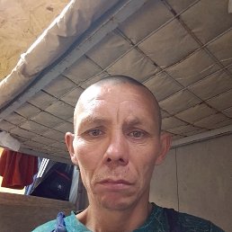 , 44 , 