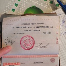 , 55, 