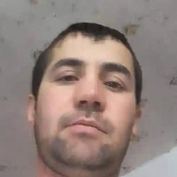 ������, ������, 38 ���