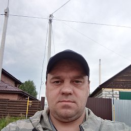 ����, 41 ���, ������