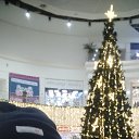 ���� ��������, ��������, 48 ��� - ��������� 29 ������� 2025 � ������ ���� ����������