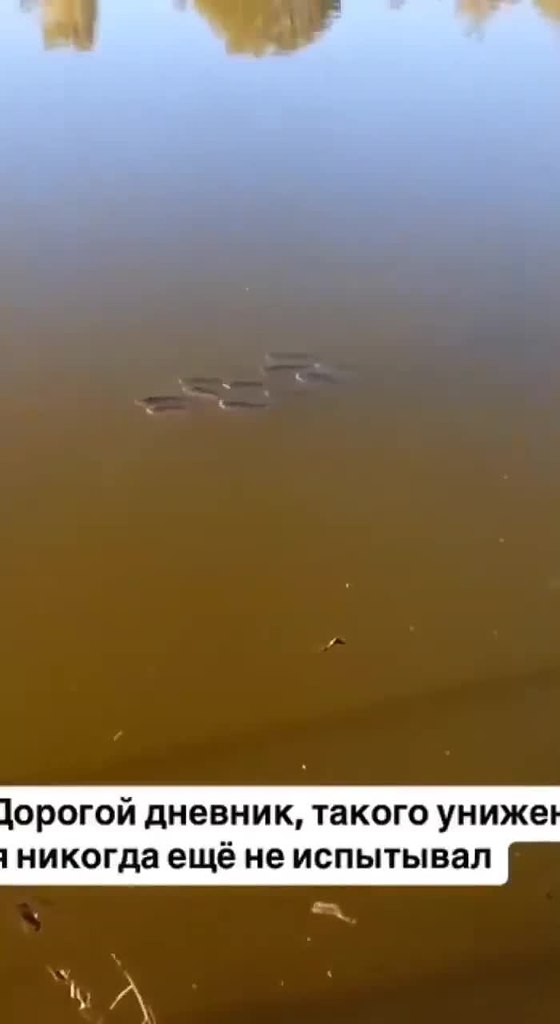 ��� ������ �������� � ������� ��� �� ���������..!