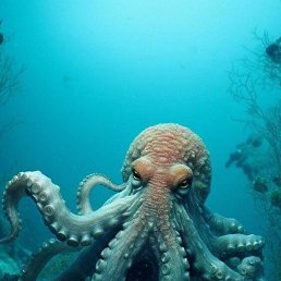 ���� �������, ������, 47 ��� - ��������� 6 ������ 2023