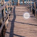 ���� �����, ���� - ��������� 16 ��� 2026 � ������ ���� ����������
