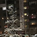 ���� ���������, �����, 68 ��� - ��������� 12 ������ 2026 � ������ ���� ����������