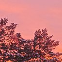 ���� ������, ��������, 50 ��� - ��������� 11 ����� 2025 � ������ ������ ��������