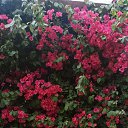 ���� Hina, ������ ��������, 69 ��� - ��������� 12 ������ 2024 � ������ ���� ����������