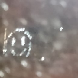 ���� ������ ������, �����������, 46 ��� - ��������� 6 ������ 2025