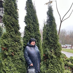 ���� ����, �����, 58 ��� - ��������� 5 ������ 2026