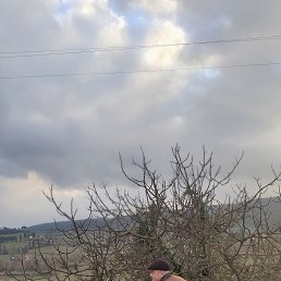 , 58, 