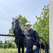 �����, 43 ����, ���������