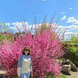 , 49, 
