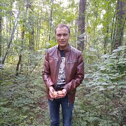 ������, 37 ���, ������